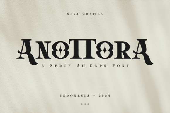 Anottora Typeface Review for Makers