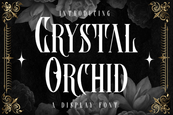 Crystal Orchid Font for Retro Branding