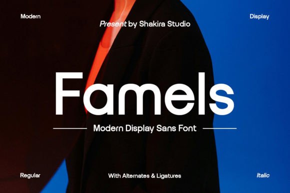 Famels: The Modern Display Sans Serif Font for Web Design