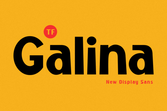 Galina Font: Elevate Your Brand Identity