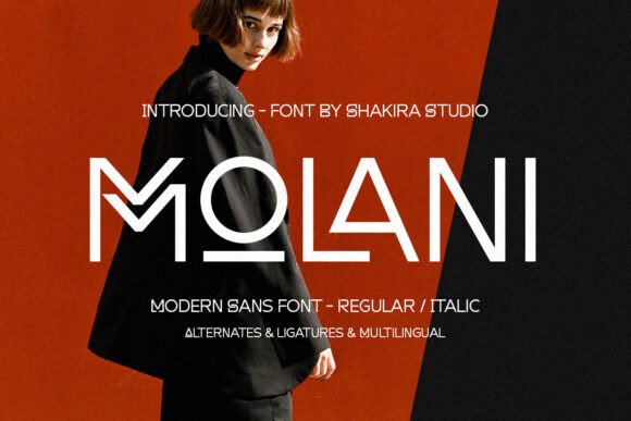 Molani Font: Modern Sans Serif for Crafters