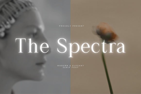 The Spectra Font: A Modern Serif for Elegant Branding