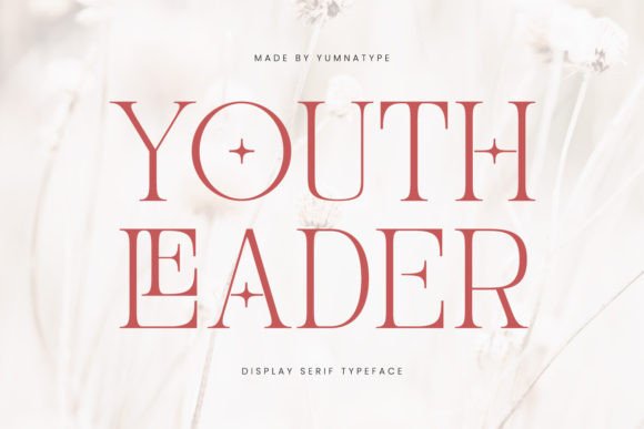 Youth Leader: Bold Serif Font for Crafters